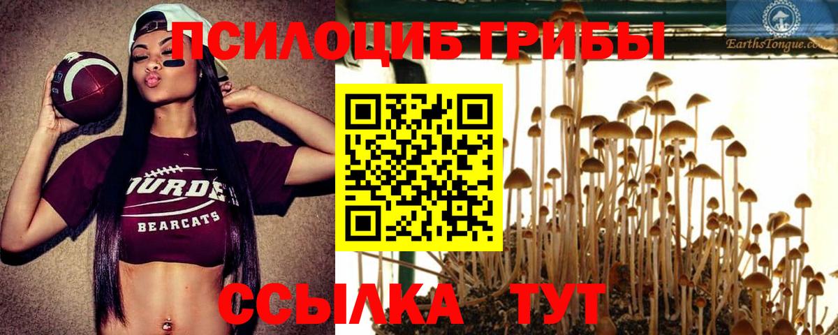 Псилоцибиновые грибы Magic Shrooms Чехов