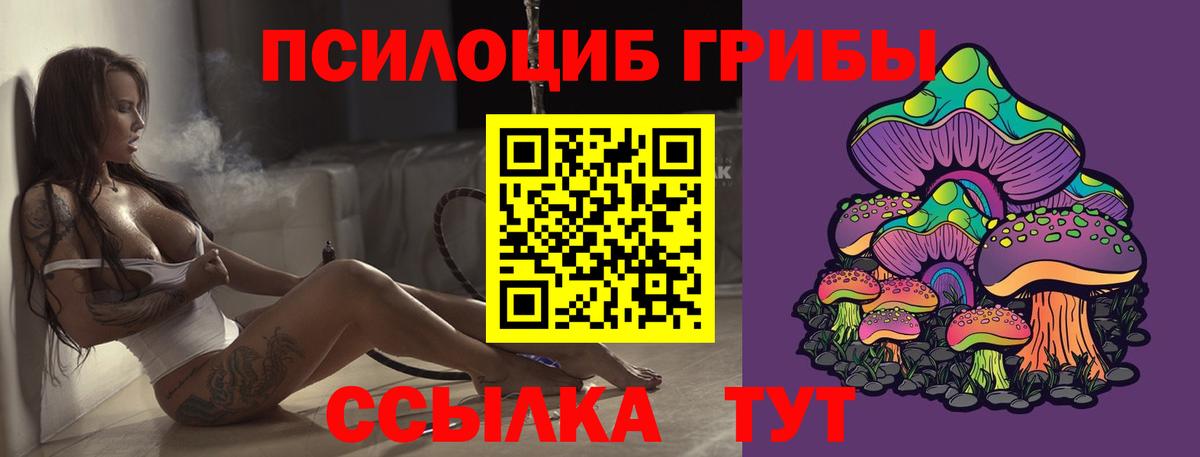 Чехов  где продают   Вход с VPN  Галлюциногенные грибы GOLDEN TEACHER 